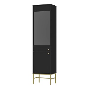 Vitrine Tokio 2F graphitschwarz Möbelfüße Metallrahmen
