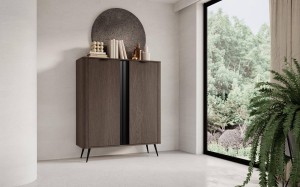 Hochkommode B  Veris 2d 113cm Eiche Dunin + Schwarz