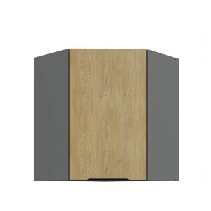 Eck- Hängeschrank Cremona Anthrazit 60x60 GN-72 1F (45°)