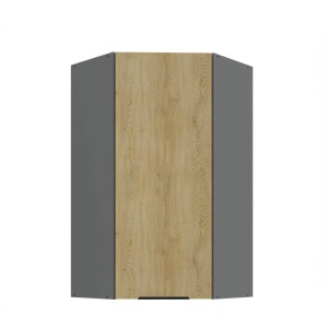 Eck- Hängeschrank Cremona Anthrazit 60x60 GN-108 1F (45°)