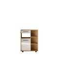 Bufet-Vigo WHHG  Roller 80.jpg
